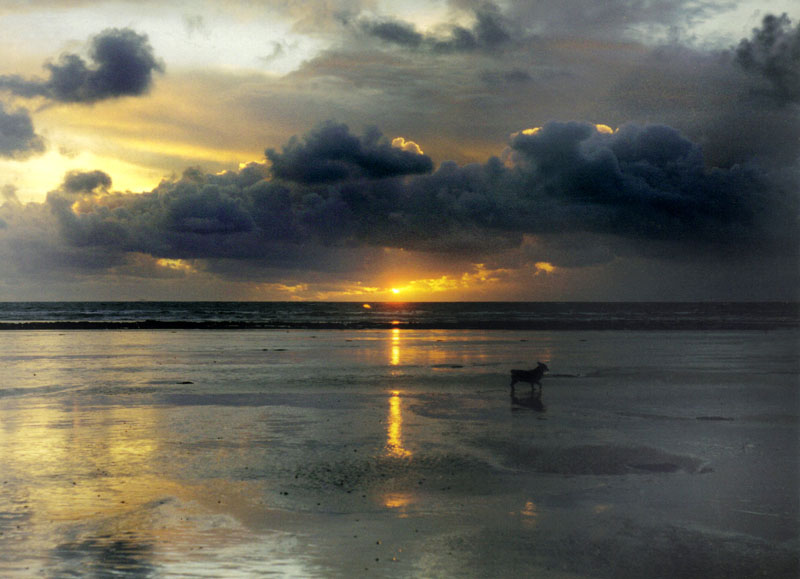 To save this picture as Windows Wallpaper - right click it - then select "Set as Background"